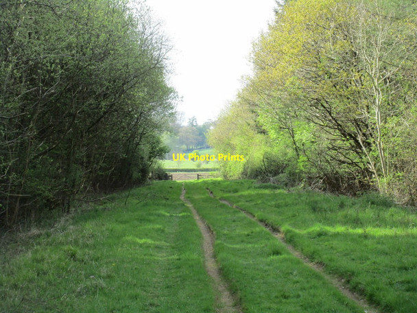 Photo 6"x4" The western ride, Whitfield Wood Biddlesden c2017