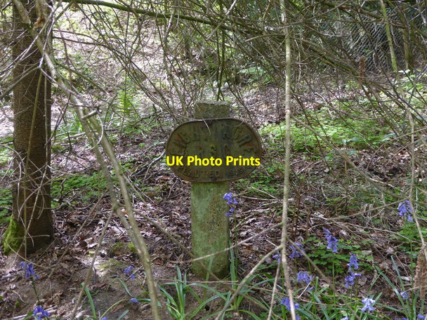 Photo 6"x4" Notice in Eight Acre Wood Ardingly c2017