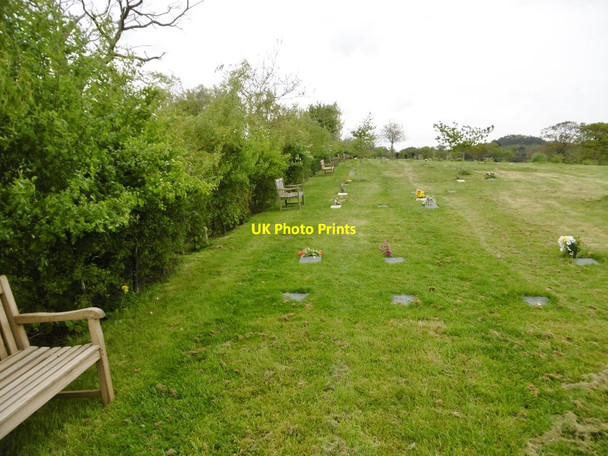 Photo 6"x4" Lytchett Minster, burial ground Beacon Hill\/SY9794 c2017