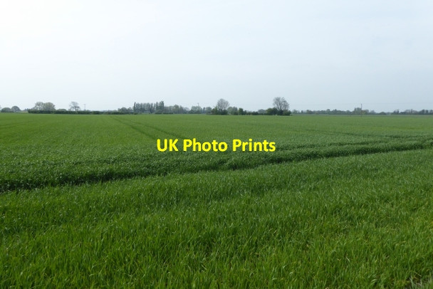 Photo 6"x4" Farmland near Cawood Park Cawood c2017