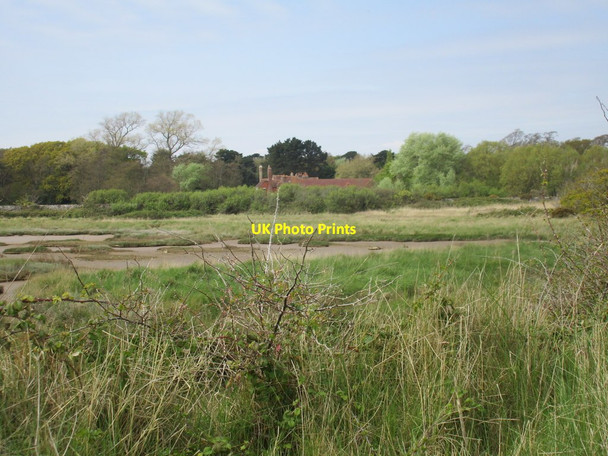 Photo 6"x4" Salt marsh and Norton Priory Church Norton c2017