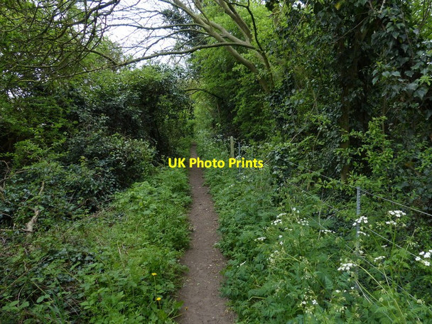 Photo 6"x4" Path to Beechwood Avenue in Leicester Forest East Leicester Forest East c2017