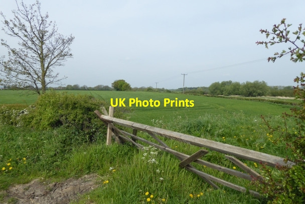 Photo 6"x4" Gate off Boggart Lane Bolton Percy c2017