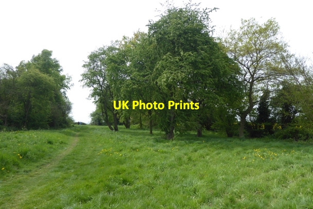 Photo 6"x4" Towards the junction Scarthingwell c2017