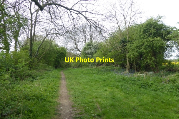 Photo 6"x4" Start of Moor Lane Scarthingwell c2017