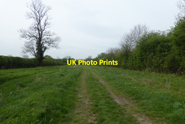 Photo 6"x4" Path to Scarthingwell Scarthingwell c2017