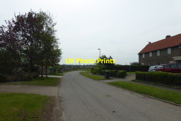 Photo 6"x4" Along Back Lane Barkston Ash c2017