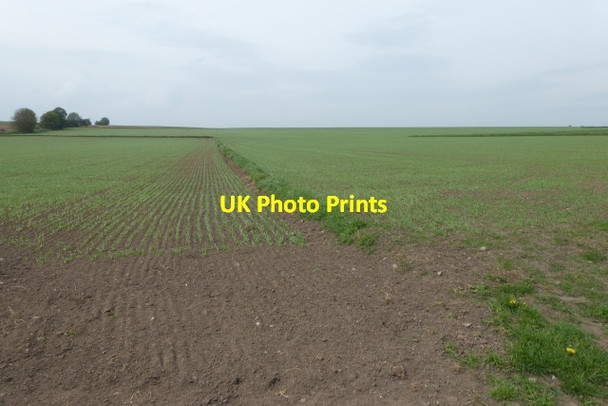 Photo 6"x4" Field boundary Barkston Ash c2017