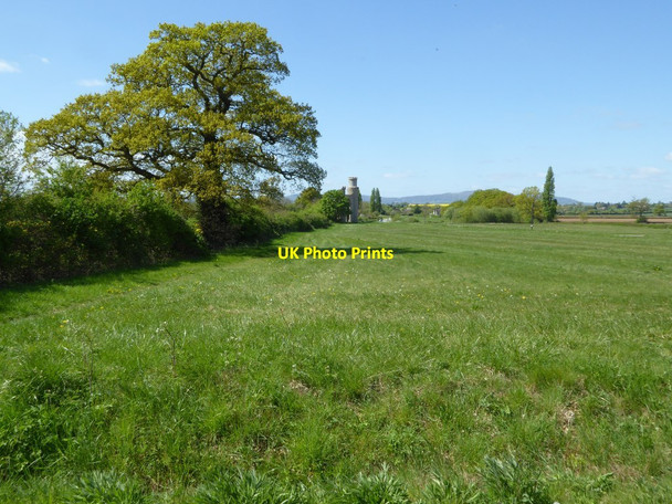 Photo 6"x4" Dunstall Common Dunstall Common c2017