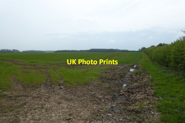 Photo 6"x4" Fields off Copley Lane Saxton c2017