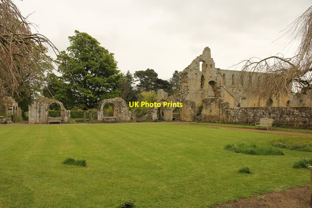 Photo 6"x4" Jervaulx Abbey Ellingstring c2017