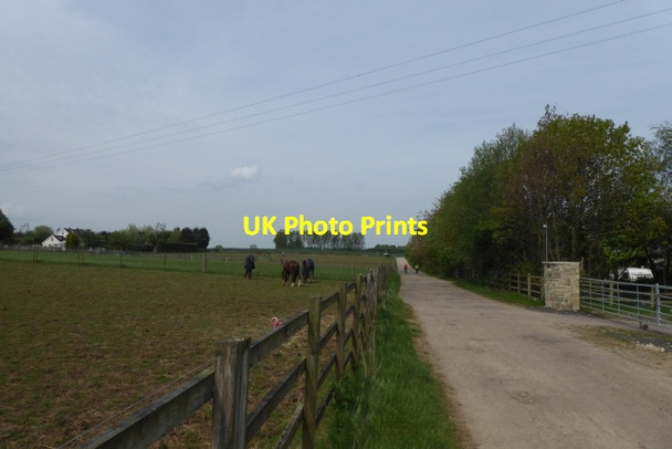 Photo 6"x4" Path through Clifford Moor Farm Clifford\/SE4244 c2017