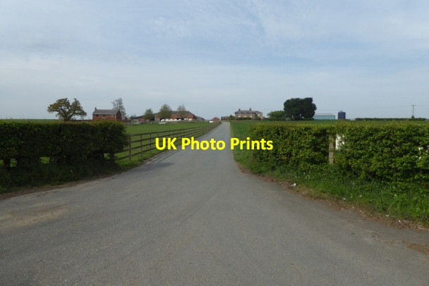 Photo 6"x4" Track to Walton Lodge Farm Walton\/SE4447 c2017