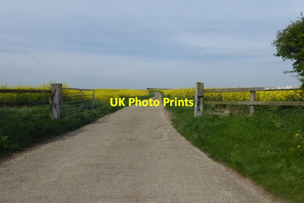 Photo 6"x4" Track to Wighill Grange Wighill c2017