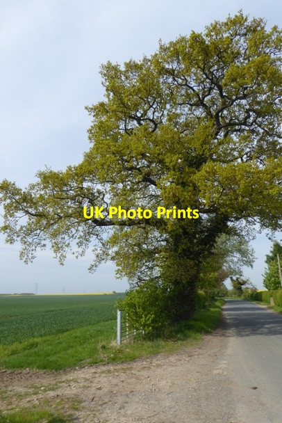 Photo 6"x4" Farmland near New Buildings Farm Healaugh\/SE4947 c2017