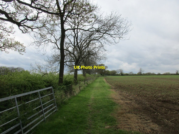 Photo 6"x4" Footpath to Maidford Road Maidford\/SP6052 c2017