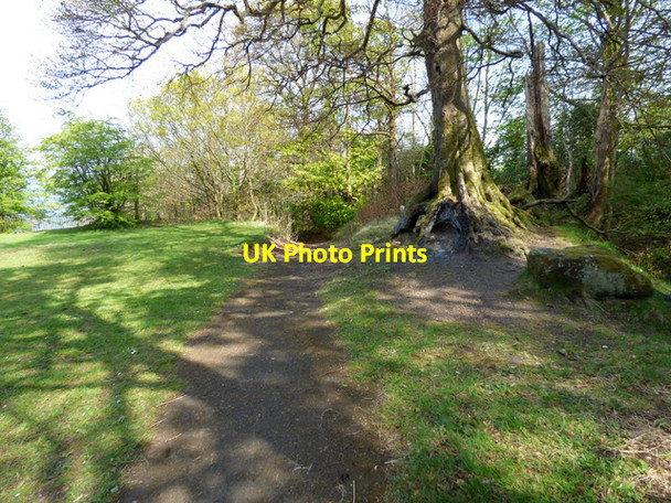 Photo 6"x4" Birkmyre Park, Port Glasgow Port Glasgow c2017 P1