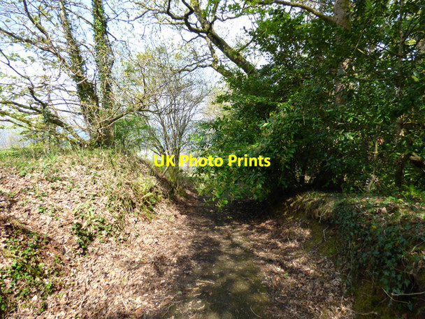 Photo 6"x4" Path in Birkmyre Park Port Glasgow c2017