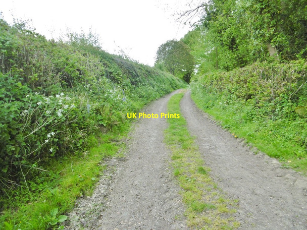 Photo 6"x4" Morden, public route East Bloxworth c2017