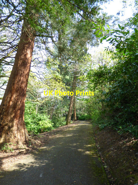 Photo 6"x4" Birkmyre Park, Port Glasgow Port Glasgow c2017 P2