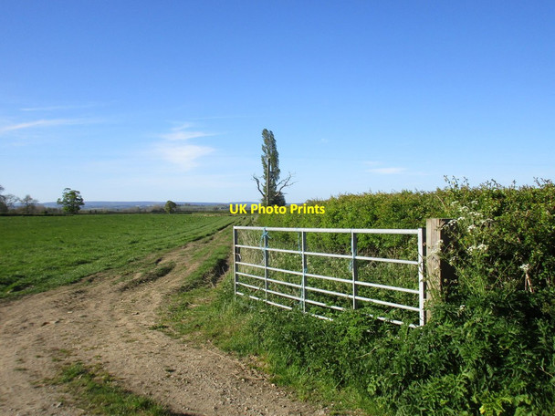 Photo 6"x4" Gate and track near Brawby Brawby c2017