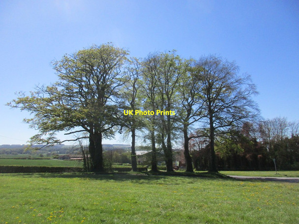 Photo 6"x4" Langton Cross Roads Birdsall c2017