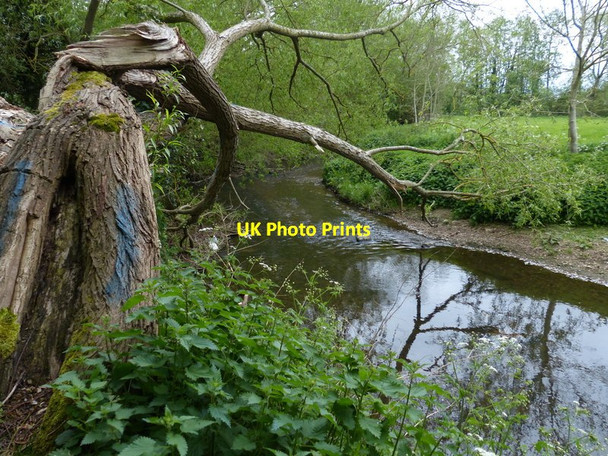 Photo 6"x4" The River Sence near Blaby Mill Wigston c2017