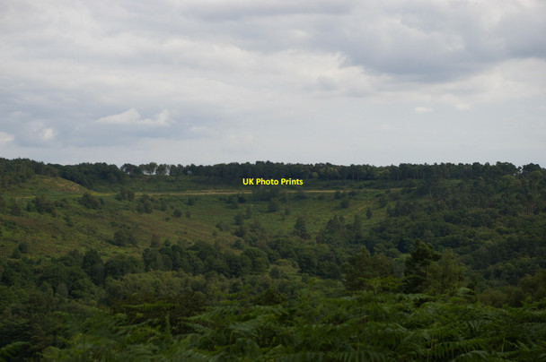 Photo 6"x4" View up the Devil's Punch Bowl Hindhead c2016