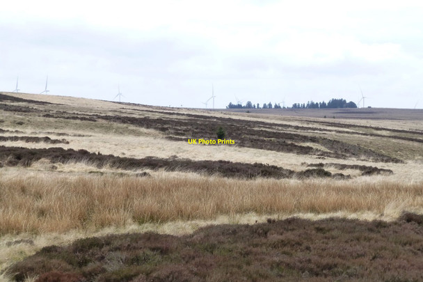 Photo 6"x4" View across Ottercops Moss Raylees c2017