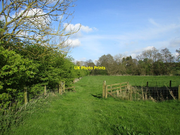 Photo 6"x4" Footpath to the River Derwent Crambe c2017