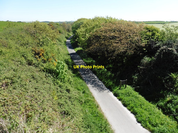Photo 6"x4" Cycle path on former Ilfracombe railway line Ossaborough c2017