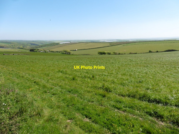 Photo 6"x4" Mains Down North Buckland c2017