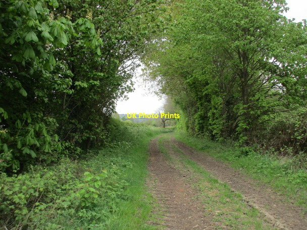 Photo 6"x4" Farm track near Weedon Lois Weedon Lois c2017