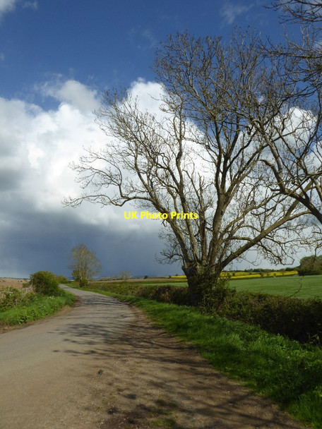 Photo 6"x4" Halford Road, Idlicote Idlicote c2017