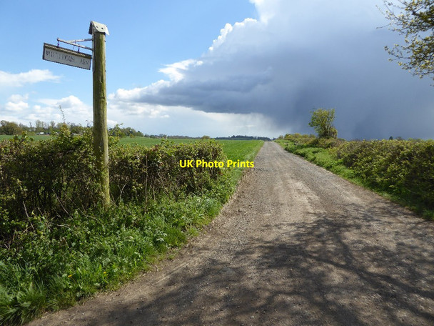 Photo 6"x4" Entrance to Whitehouse Farm Idlicote c2017