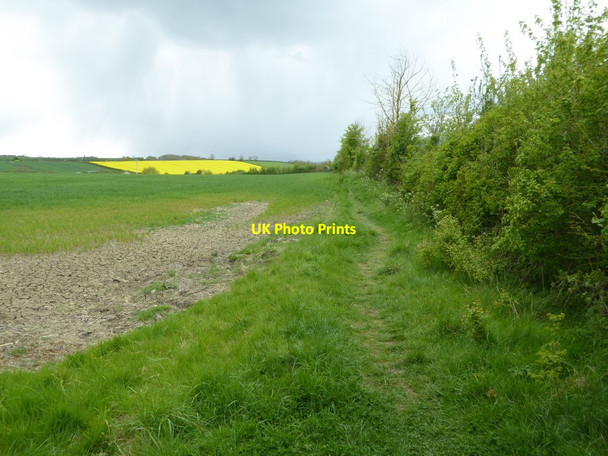 Photo 6"x4" Footpath off Darlingscote Road Shipston-on-Stour c2017