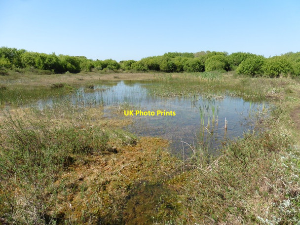 Photo 6"x4" Pond on Braunton Burrows Velator c2017