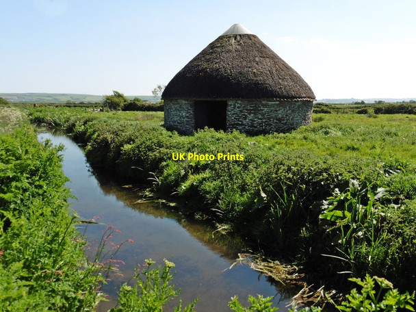 Photo 6"x4" Circular cattle shelter, Braunton Marsh Velator c2017