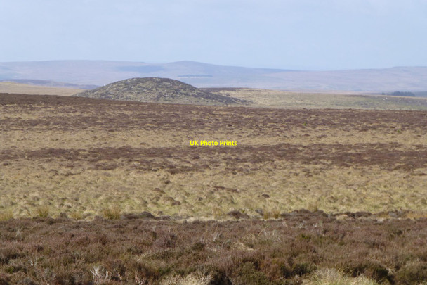 Photo 6"x4" Across the moor from Rushy Knowe Dod Hill\/NT9100 c2017