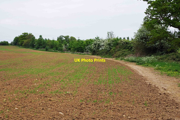 Photo 6"x4" Public footpath along the edge of a field, Cogges, Witney, Oxon Witney c2017