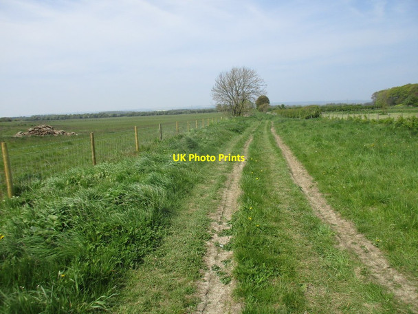 Photo 6"x4" Bridleway to Wykeham Potter Brompton c2017