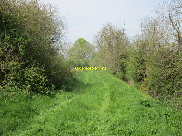Photo 6"x4" Bridleway to Wykeham Potter Brompton c2017 P1