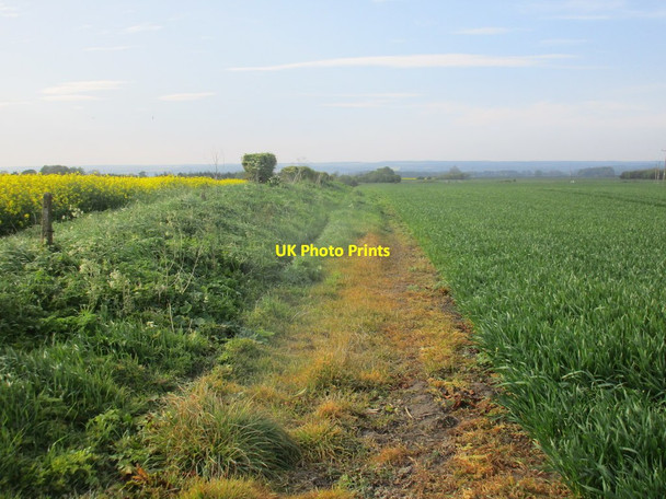 Photo 6"x4" Bridleway to Wykeham Potter Brompton c2017