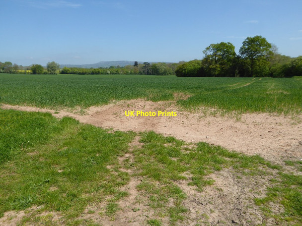 Photo 6"x4" Arable field Berrington\/SO5767 c2017