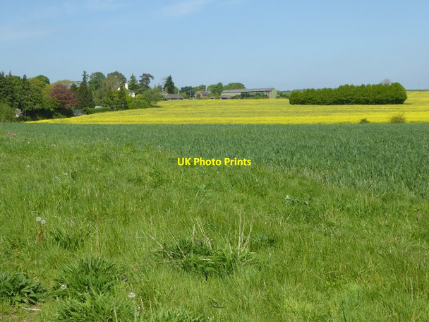 Photo 6"x4" View to Ledwyche Orchard Little Hereford c2017