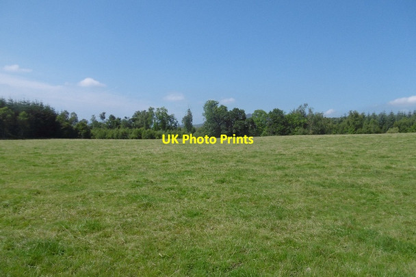 Photo 6"x4" Field near Drymen Buchanan Smithy c2016