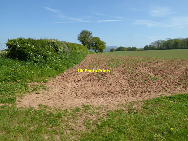 Photo 6"x4" Arable field near Ashford Carbonell Ashford Carbonell c2017