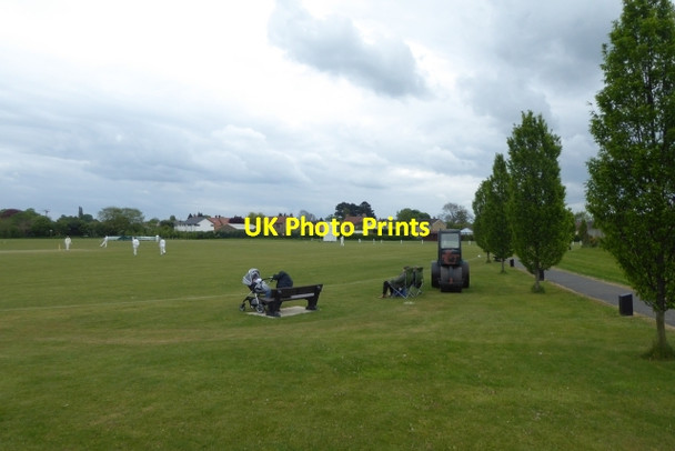 Photo 6"x4" Cricket in Bishop Monkton Bishop Monkton c2017
