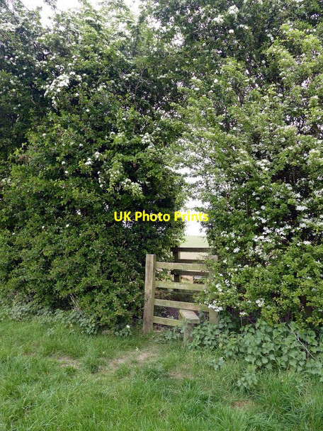 Photo 6"x4" Double stile in a hedge Scotland\/SK3822 c2017