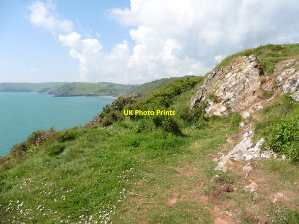 Photo 6"x4" Cliffs above Sharkham Point Brixham c2017